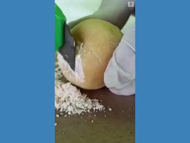 WATCH: Police seize cocaine disguised as potatoes