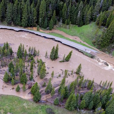 VIDEO: Yellowstone flooded, San Yatra and Indigenous protests: World in Photos, June 15