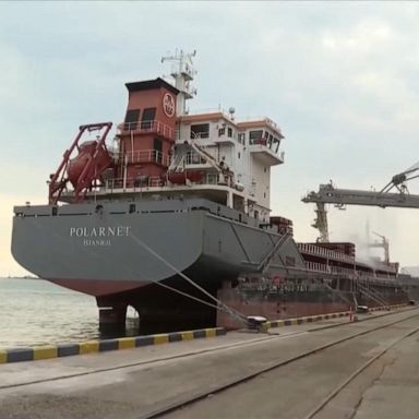 VIDEO: 1st grain ship to leave Ukraine passes inspection, heads to Lebanon