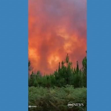 VIDEO: Dozens of wildfires burn in southwestern France