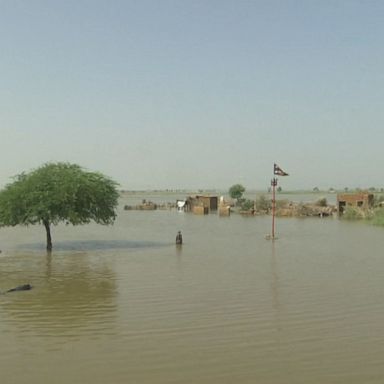 More than a million homes have been destroyed as Pakistan is experiencing historic rain and flooding, according to officials. 