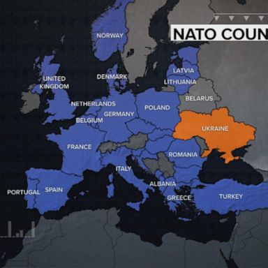 VIDEO: Leaders of some NATO member countries back membership for Ukraine