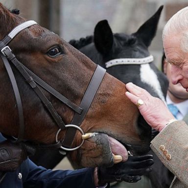 VIDEO: King Charles , autumn and Ukraine: World in Photos, Oct. 11