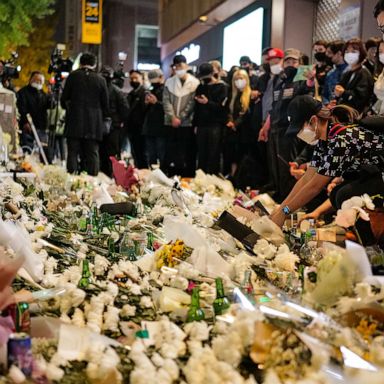 VIDEO: Seoul stampede, Brazil election, Indian bridge collapse: World in Photos, Oct. 31