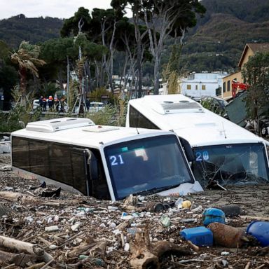 VIDEO: Italy landslide, World Cup, Georgia voting: World in Photos, Nov. 28