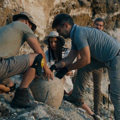 From the Northern Canadian mountains to the caves of Borneo, 2022 was filled with significant archaeological discoveries. 