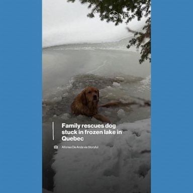 VIDEO: Dog rescued from frozen Quebec lake