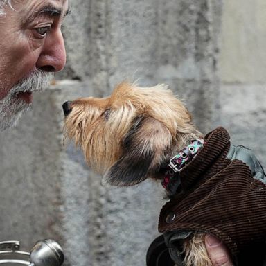 VIDEO: Animals blessed, Prince William and Greta Thunberg: World in Photos, Jan. 17 