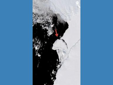 WATCH:  Huge iceberg breaks away in Antarctica