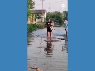 WATCH:  Volunteers rescue cats and dogs from flooded Ukrainian city