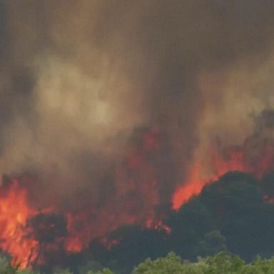 VIDEO: Heat scorches Europe, causing fires and deaths