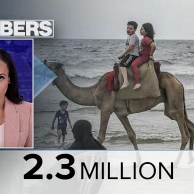 VIDEO: By the Numbers: Inside Gaza