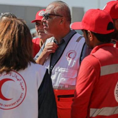 VIDEO: International Red Cross spokesperson reacts to Gaza pauses