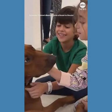 VIDEO: Children held hostage by Hamas reunite with family dog after release