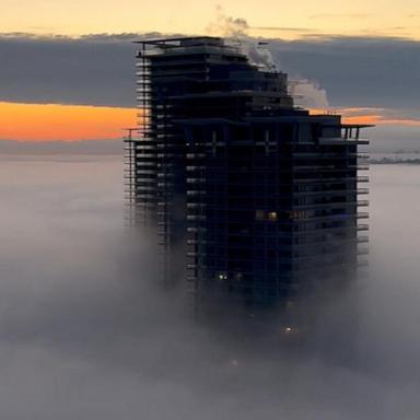 VIDEO: Fog creates dream-like landscape in British Columbia