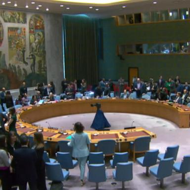 VIDEO: US votes against UN resolution calling for immediate cease-fire in Gaza