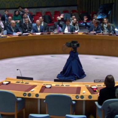 VIDEO: UN passes Gaza cease-fire resolution