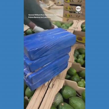 VIDEO: Police in Colombia seize nearly 2 tons of cocaine hidden in crates of avocados