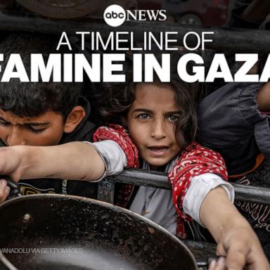 Famine in Gaza: A timeline of how the hunger crisis is unfolding