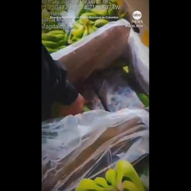 VIDEO: Colombian police find cocaine hidden in banana shipment