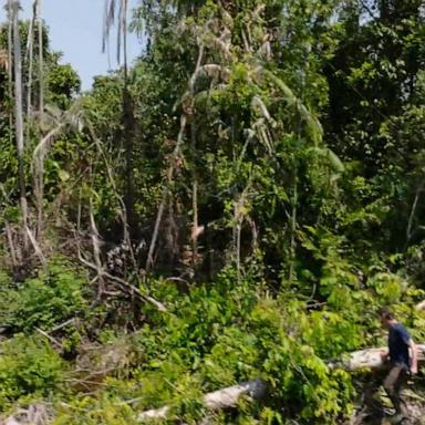 VIDEO:Last Lands: Cambodia