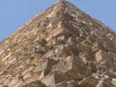 WATCH:  Dog spotted atop Great Pyramid of Giza makes expert descent