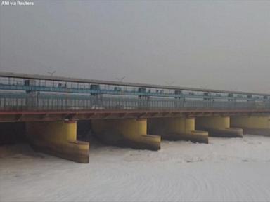 WATCH:  Toxic foam covers India's Yamuna River