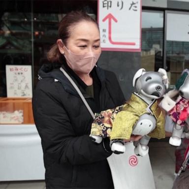 VIDEO: Robot dog owners take pets to be blessed in Japanese shrine