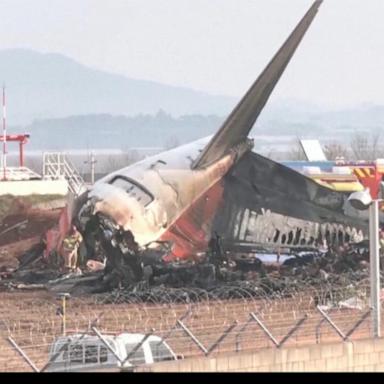 VIDEO: Aviation expert on possible causes of South Korean jet crash