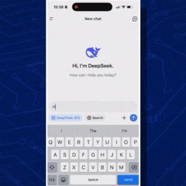 VIDEO: How China-based AI app DeepSeek works