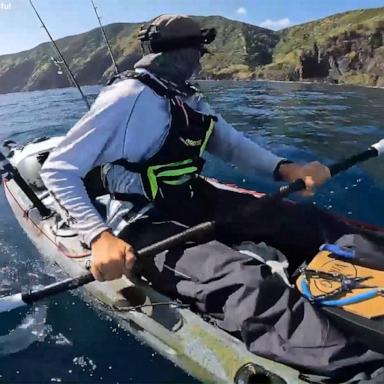 VIDEO: Kayaker stalked by great white shark off New Zealand