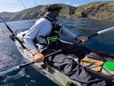 WATCH:  Kayaker stalked by great white shark off New Zealand