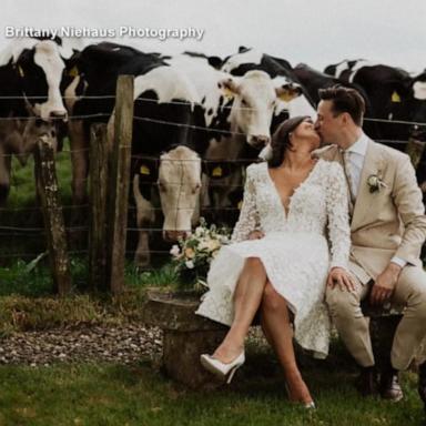 One couple enjoying an outdoor wedding in Scotland ended up with a much bigger circle than they intended. ABC News’ Danny New has the details.