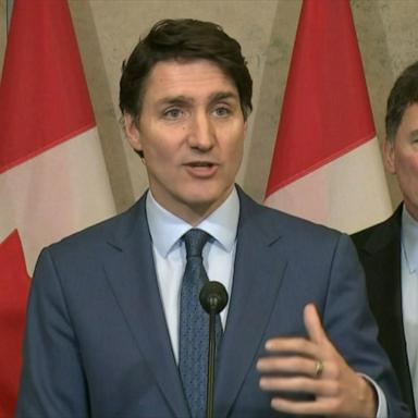 VIDEO: Trump's tariffs are 'dumb': Canadian PM Trudeau