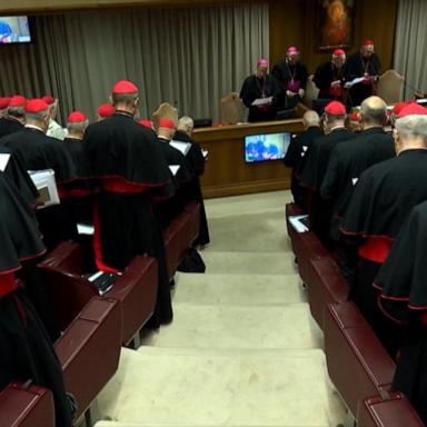 VIDEO: Conclave to replace Pope Francis to begin May 7, Vatican says