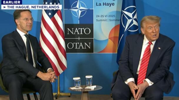 Former ambassador ‘uncomfortable’ with NATO leader’s relationship with Trump