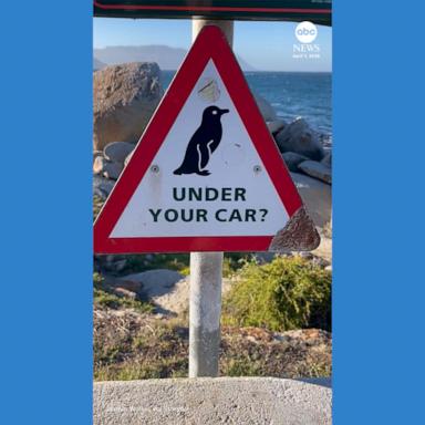 The Yellow Sign Saving Lives One Engine Start at a Time