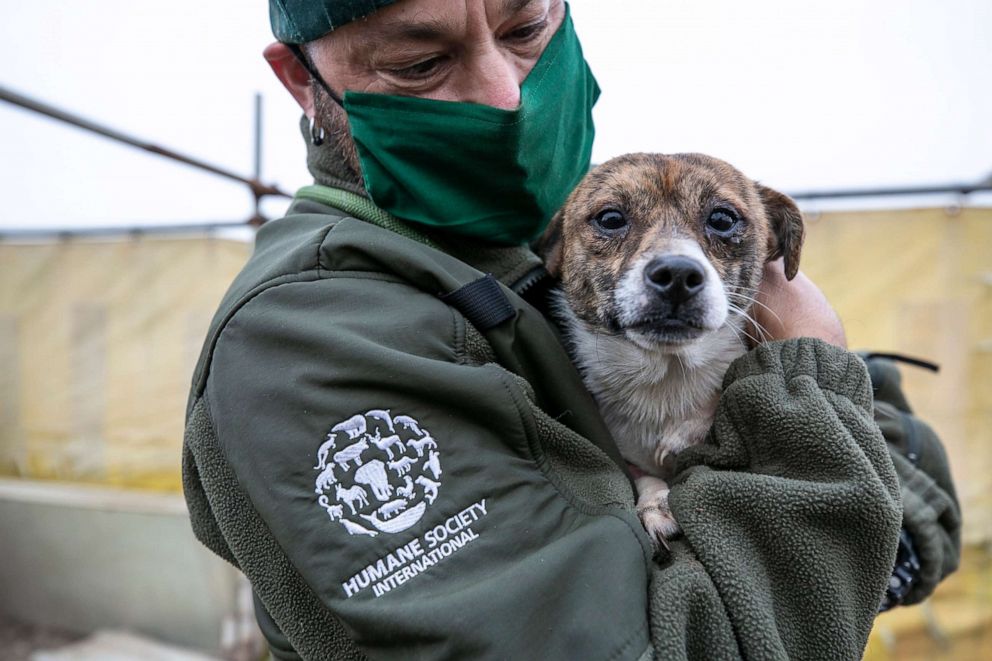 PHOTO: Adam Parascandola, Vice President of Global Animal Rescue and Response of HSI, holds a dog at a dog meat farm in Haemi, South Korea, on Wednesday, October 21, 2020. 