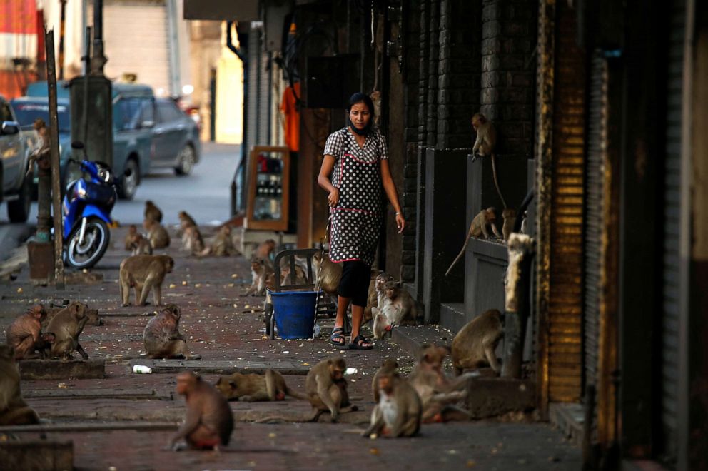 PHOTO: A woman watches monkeys as they search of food in front of her shop in front of Prang Sam Yod temple in Lopburi, Thailand, March 17, 2020. 