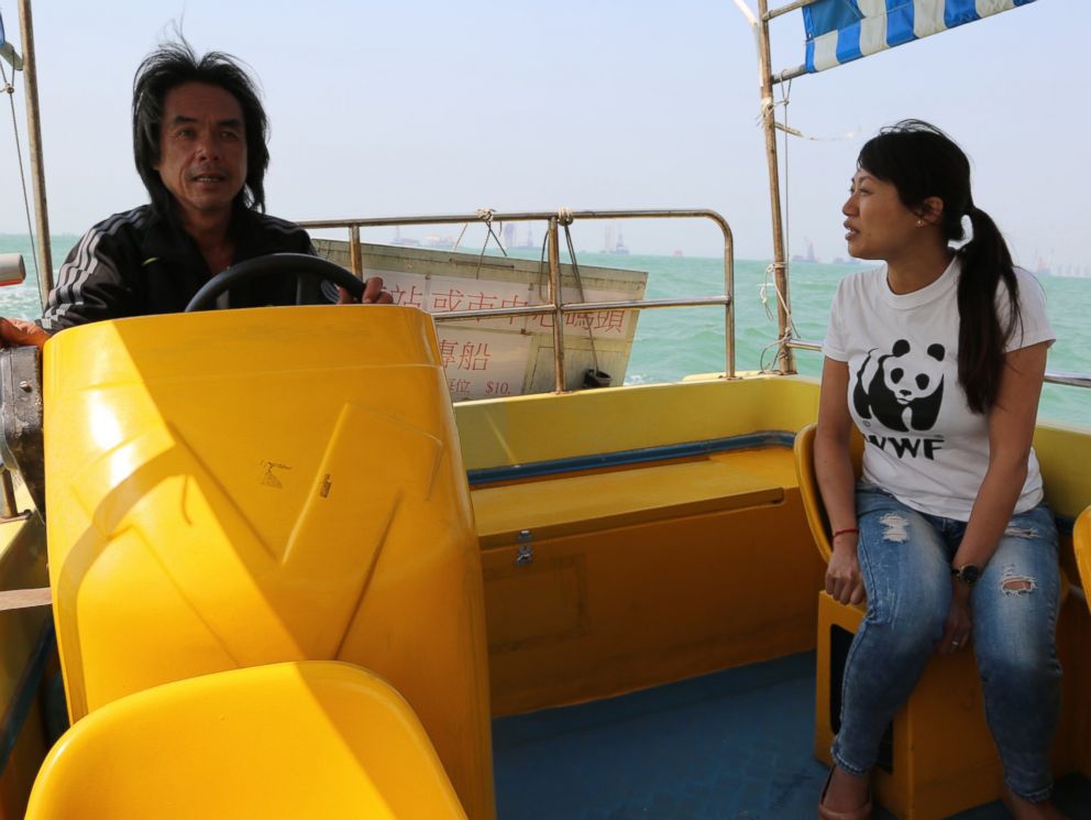 PHOTO: Samantha Lee and local dolphin watching operator scouting the waters for dolphins.