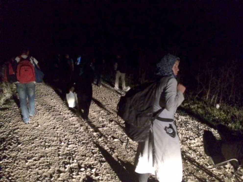 PHOTO: Refugees walk a mile and a half through a cornfield to reach the Croatian border.