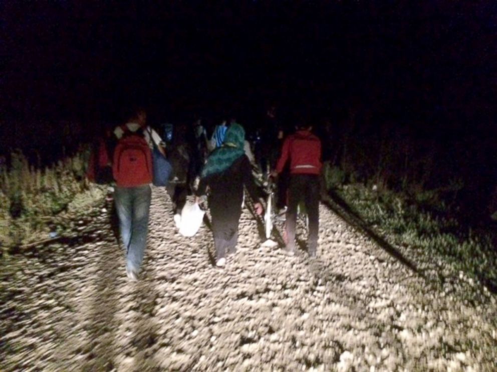 PHOTO: Refugees walk a mile and a half through a cornfield to reach the Croatian border.