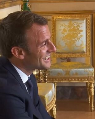 Emmanuel Macron was holding a meeting with his Cabinet when his dog, Nemo, interrupted the group.