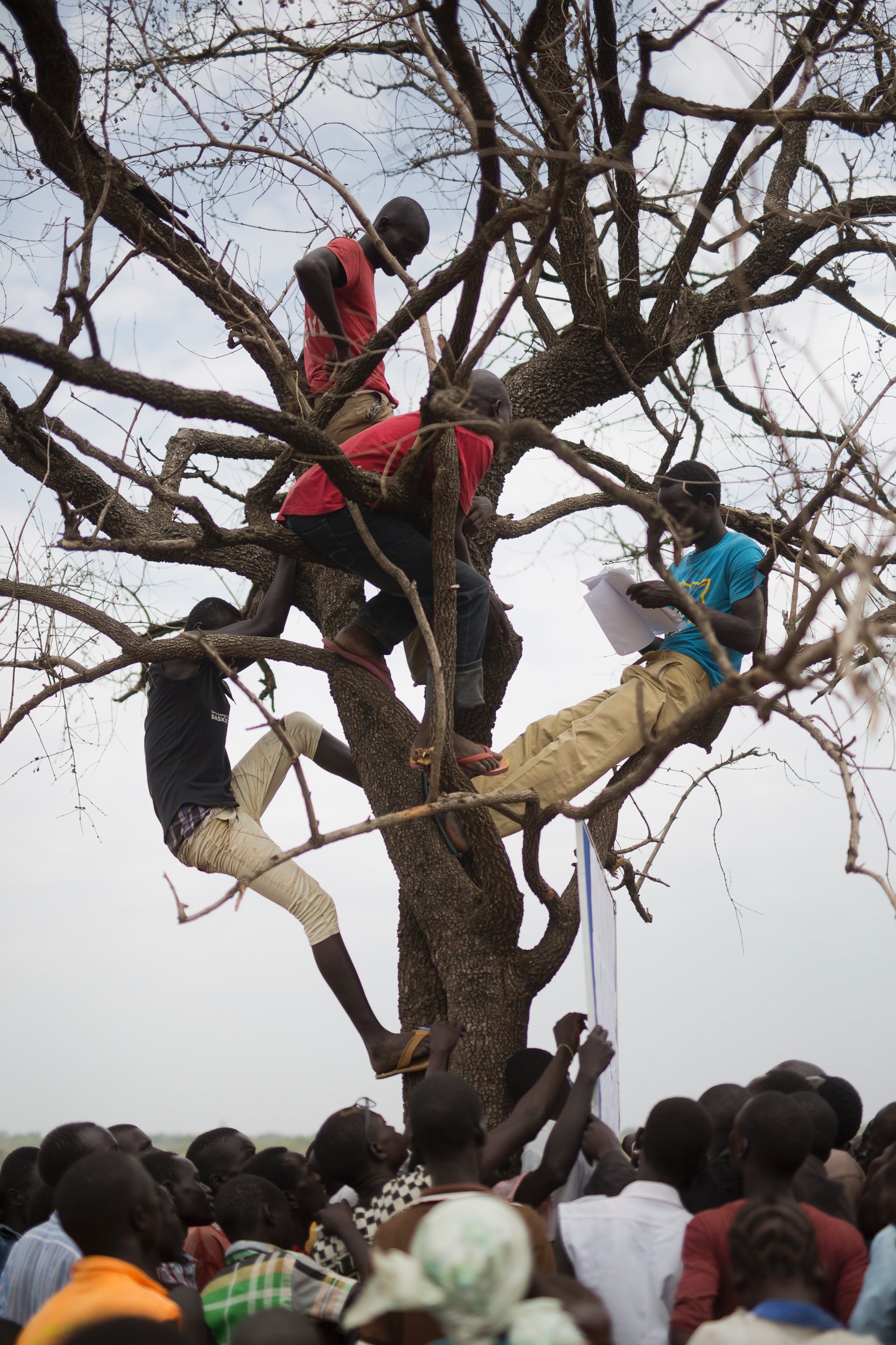 PHOTO: In this Monday, April 3, 2017 photo in the Imvepi camp, South Sudanese refugees gather under a tree from which names are announced for those allocated a land parcel from the Ugandan government.
