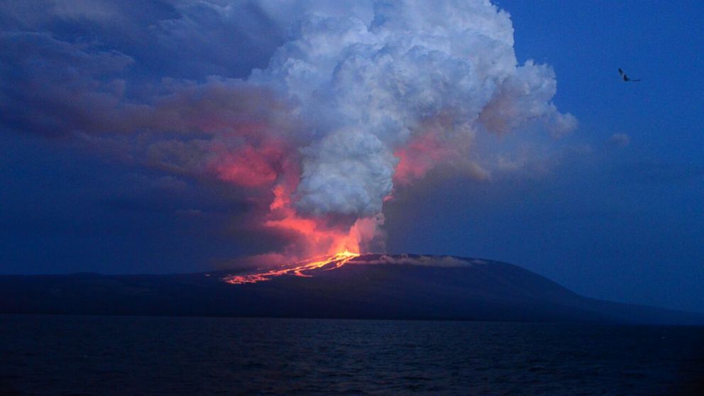 Galapagos Island Volcano Erupts Threatening Fragile Ecosystem ABC News   AP GALAPAGOS 150526 DG 16x9 992 