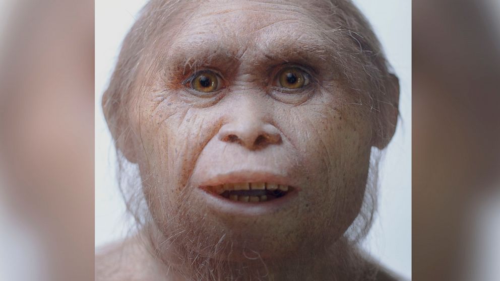 This 2015 picture provided by Kinez Riza shows a reconstruction model of Homo Floresiensis, also known as Hobbits, by Atelier Elisabeth Daynes at Sangiran Museum and the Early Man Site. 
