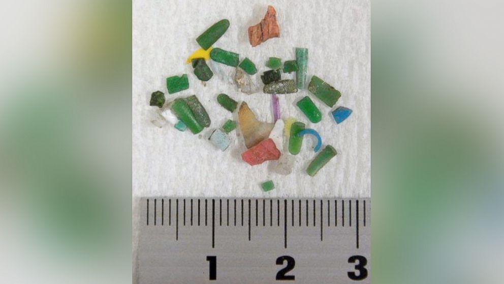 PHOTO: Little bits of plastic, known as microplastics, collected from Tokyo Bay are shown by a research team of the Tokyo University of Agriculture and Technology in this undated photo. 