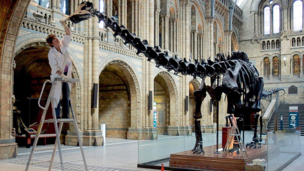 Biggest Controversy England Now Is Over a Dinosaur - ABC News