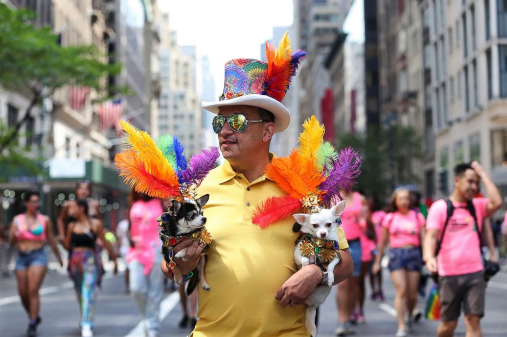 PHOTO: Anthony Rubio holds onto his costumed dogs as he walks along Fifth Avenue during the New York City Pride Parade, June 26, 2016, in New York. 