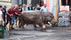 12 People Dead as Freed Zoo Animals Roam Through Flooding in Tbilisi